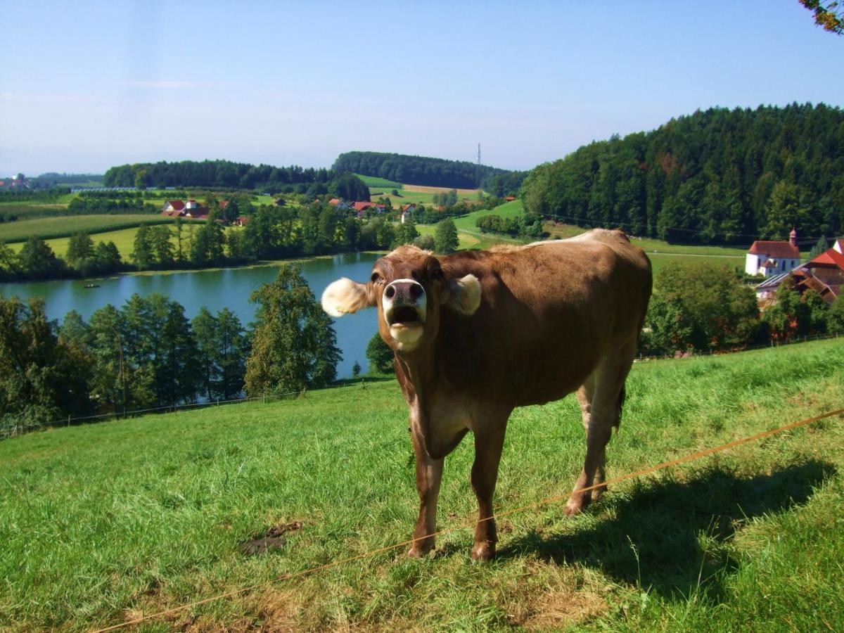 Ferienwohnung Heimatliebe Waltenhofen Kültér fotó